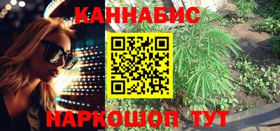 тгк Будённовск