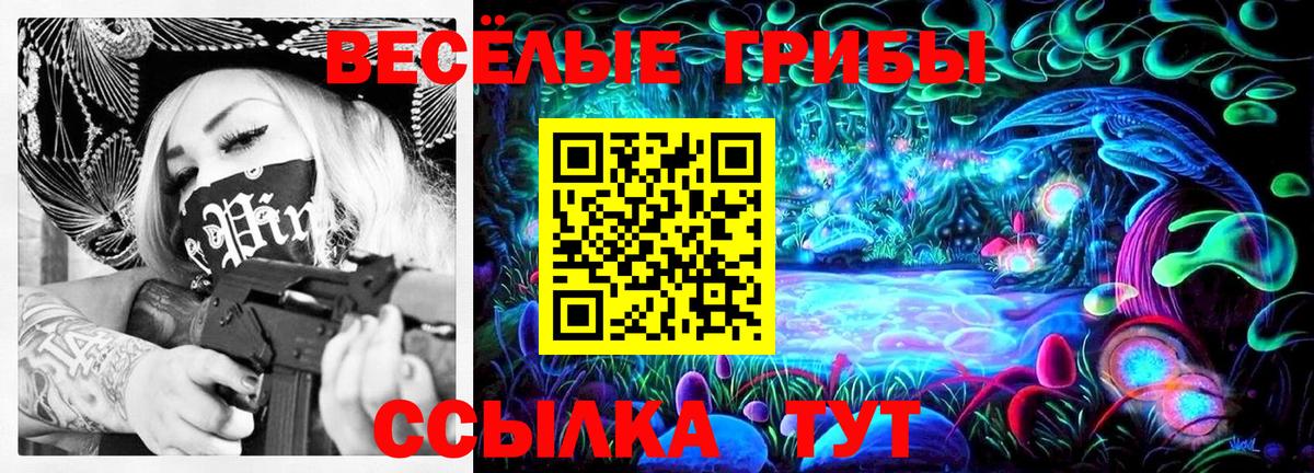Слободской  Галлюциногенные грибы Psilocybe  Вход с VPN  Галлюциногенные грибы Cubensis 